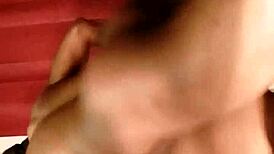 Sundaydogood614 Update 515 Video From October 1 2024