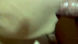 i meet a beautiful tour guide on vacation