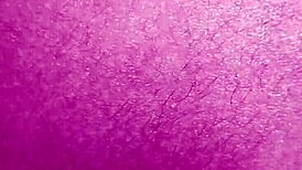 married colleague works late in office encounter