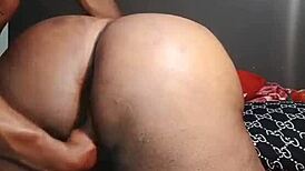 nigarchrist - update 1444 - petal 20250617 155219 - jun 17 2025