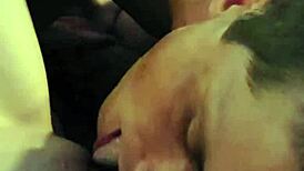 Driftwood and Barefoot Kontessa Perform Down South