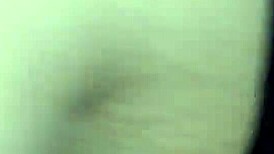 Recording captured on November 21, 2016 at 4:49 AM.