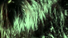 I suck and cum on throbbing cock without experience