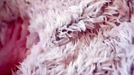 my best friend's wife wanted me to film breeding her 😏