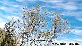 British Police And Latina Babe In Lawful Encounter