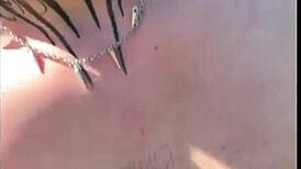 Comi um desconhecido que estava batendo uma na trilha - free