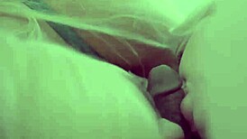 chanel and stella suck your dick pov