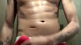 naughty big dick horse shows off for cam intriguingly