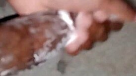 superdarius guy jerks off quick before bedtime, shooting a sloppy cumshot