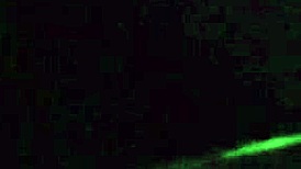 why is artemisia love flashing her big tits while driving?