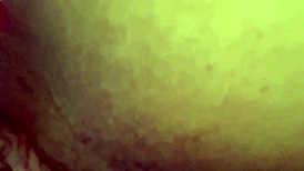 Tattooed Muscular Amateur Teases Her Tight Juicy Wet Pussy with Vibrator Until Explosive Climax