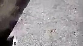 honey allowed her mom's bf in her apartment when her mom was at work for some fun