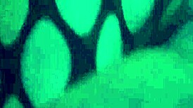 sexy footjob in nylons and leggings