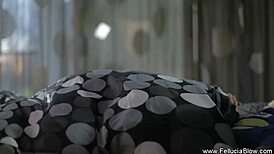 stunning brunette delivers erotic blowjob with facial and swallow