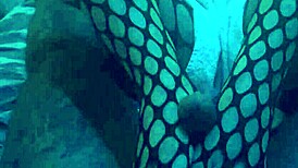 sexy footjob in nylons and leggings