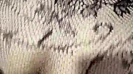 Wife's Friend Finally Allows Intimate Encounter