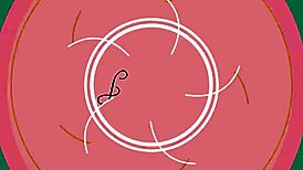 Gave Ass To Personal Trainer