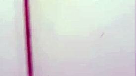 Sex videohovor s podvádzajúcou manželkou používajúcou hračky a dildo pre potešenie prirodzených cic. Stená nahlas počas hovoru