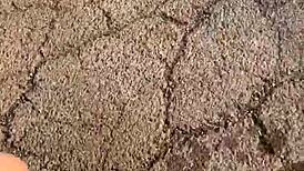 Pov Street Blowjob Leads to Facial Cumshot