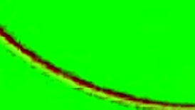 brunette amateur with small tits and tattoo