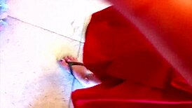 Wild sex in nature's woods 😍