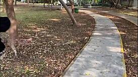 hada caliente wants a hard culeada in the carro, full video on red