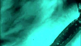 Dark Lantern donosi dva veka vintage pornića