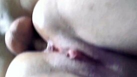 Milf Sucks Big Cock in Kitchen Exhibition