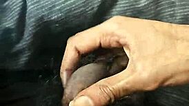 have a nice morning or night ladies