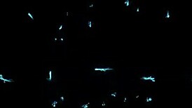 I'm fucking this skinny Asian girl with intense force through the bed, part 1