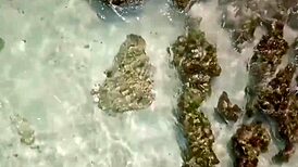 MULATITA CACHONDA FUCKS VICTOR BLOOM'S COCK LIKE CRAZY