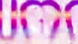 Madison stil dominating and fisting her sexy slave emily white before been fucked by 3 big cocks in dap 0 pussy 😈