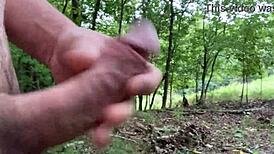 clitlicker662 update 8 img 0569 sep 29 2024