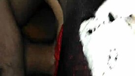 ex girlfriend in stockings sucking big cock