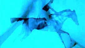 Vintage taboo features pussy and pooch outdoors.