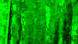 Wild Curves Introduction With Chubby Nerd