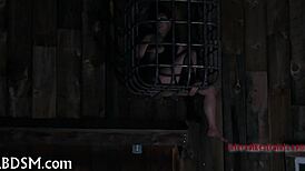 bdsm electro castigation session