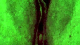 her pussy's swollen after rough fucking. did she get a creampie?