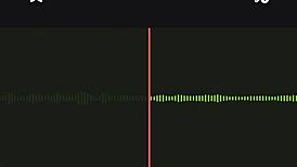 Incredible Neighbor Audio Part 2