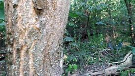 i watch girlfriends masturbate in public forest 😍