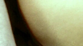 Group Fuck With Four Models And Two Directors In The Board Room