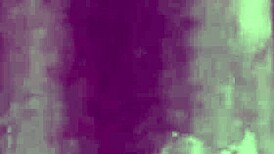 dark lantern entertainment presents two centuries of vintage films