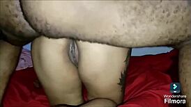 gozando no cuzinho da morena