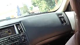 See Talia Palmer Through a Glory Hole Then Watch Her Suck Dick 😈