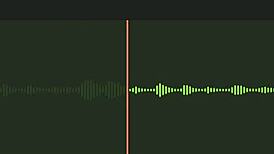 Incredible Neighbor Audio Part 2