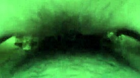 i couldn't wait and fucked her creampie style