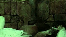 El ultimo tango en paris 1972