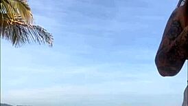 nem percebi que esse shorts est� marcando a minha xota