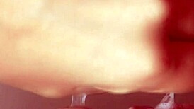 in this captivating japanese love story, a young woman and man discover true love amidst life's trials