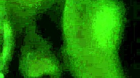 deepthroat lessons with a monster cock and instructions